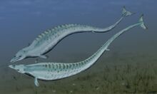 Evolution Of Cetaceans Basilosaurids And Dorudontids Fully Marine ... Evolution Of Cetaceans Basilosaurids And Dorudontids Fully Marine ...