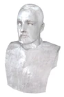 Breen bust beta