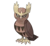 Noctowl
