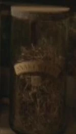 Snakeweed