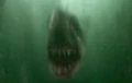 Krum Shark.jpg