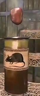 RatSpleen