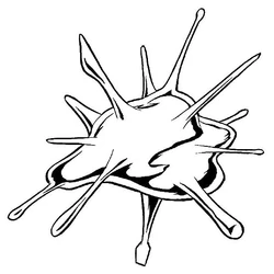 Blob 1.jpg