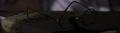 WhichOwl.jpg