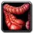 Inv misc organ 05.png