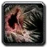 Inv misc pelt bear ruin 03.png