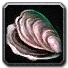 Inv misc shell 02.png