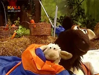 Folge2495-3