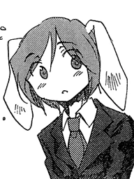 SSiB Reisen