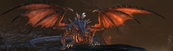 DragonGo