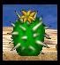MatuCactus.jpg