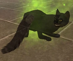 SpectralCat