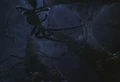 Spiders.JPG