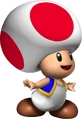 BabyToad.png