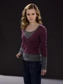 Hermione Granger (HBP promo) 3.jpg