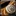 Inv belt 06.png