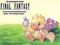 FFMarathon.JPG