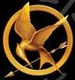 MockingJayPin