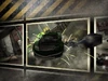 Br-enter-the-dragon.jpg
