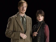 Remus Lupin and Nymphadora Tonks 2 (HBP promo) 2