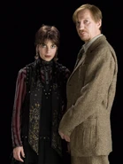 Remus Lupin and Nymphadora Tonks 2 (HBP promo) 1