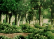 Revived forest