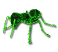 Fo2 Render Ant