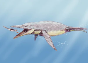 Brachauchenius lucasi2DB