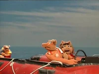 BayPigswatch212.jpg