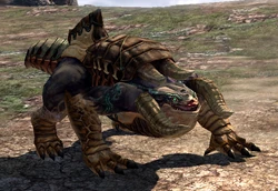 Raptor