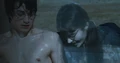 Myrtle4.PNG