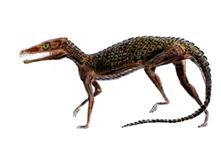 Pedeticosaurus