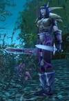 Sentinel Leader