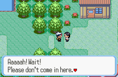 Ruby-Sapphire Oldale Town 2