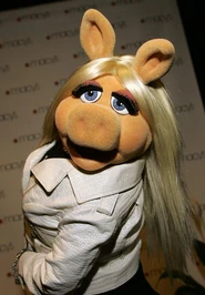 Piggy arrives