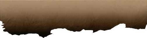 Bottom-transparent.png