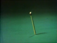 Timber1.jpg