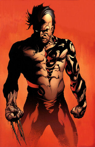 http://images3.wikia.nocookie.net/__cb20090827023360/marveldatabase/images/thumb/c/c1/Wolverine_Origins_Vol_1_13_Textless.jpg/310px-Wolverine_Origins_Vol_1_13_Textless.jpg