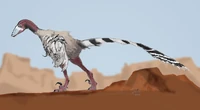 Achillobator