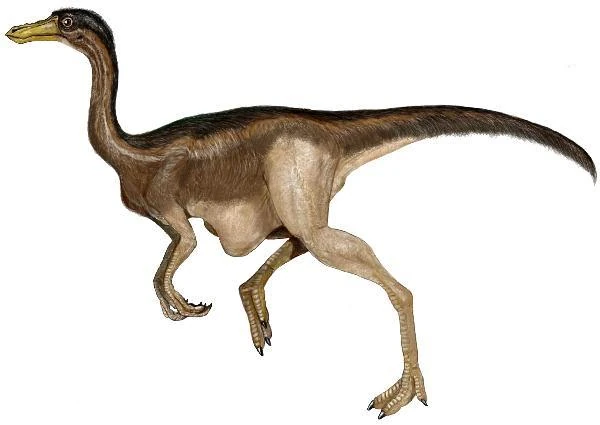 gallimimus dinosaur