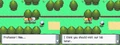 Diamond-Pearl Route 201 1.png
