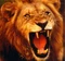 Reallion