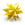 Featured Star