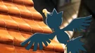 P10 Murkrow