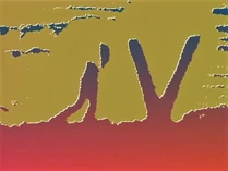 SandV