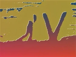 SandV