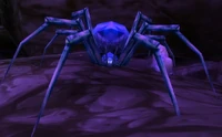 Crystal Fang