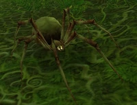 Spawn of Mar'li