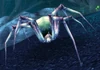 Spindleweb Lurker
