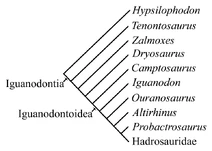 Iguanodontia2